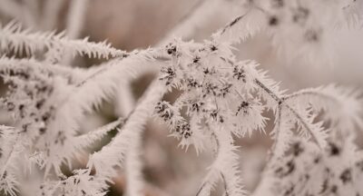 The Ugly face of SAD (Seasonal Affective Disorders): Why symptoms spike in certain months and ways to alleviate them successfully.